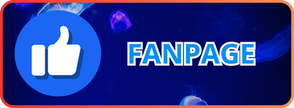 HDBET ⭐️ Link Vào Trang Chủ Nhà Cái HDBET Chính Thức 27 liên hệ fanpage hdbet