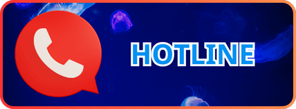HDBET ⭐️ Link Vào Trang Chủ Nhà Cái HDBET Chính Thức 29 liên hệ hotline hdbet
