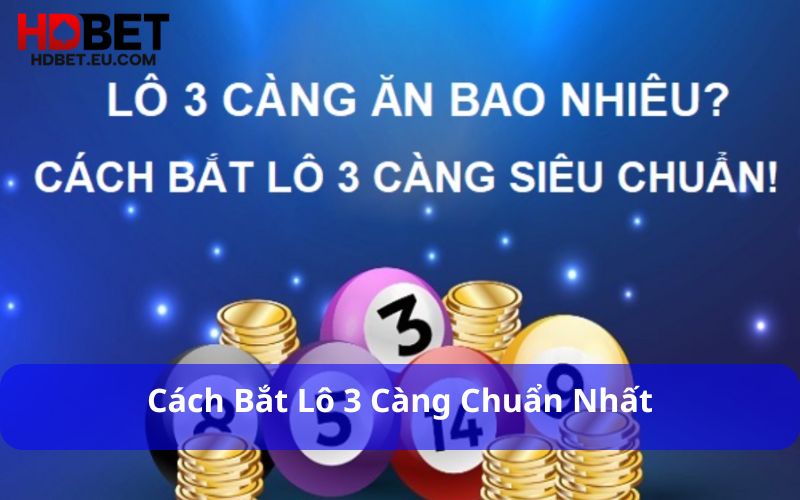Lô 3 Càng Là Gì? Giải Mã Cách Chơi Cược 3 Số Đầy Hấp Dẫn 3 Cách bắt lô 3 càng chuẩn nhất