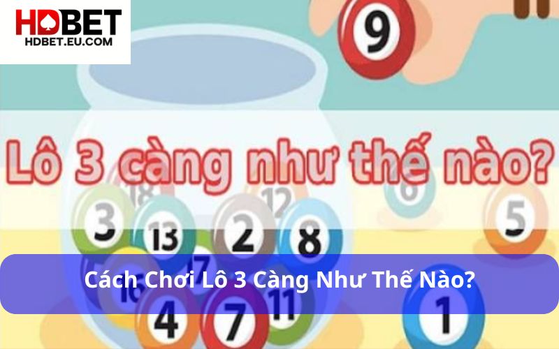 Lô 3 Càng Là Gì? Giải Mã Cách Chơi Cược 3 Số Đầy Hấp Dẫn 2 Cách chơi Lô 3 càng như thế nào?