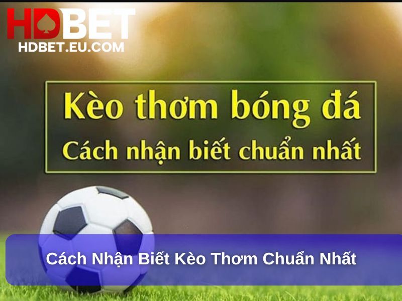 Kèo Thơm Bóng Đá – Bí Quyết Nhận Diện Và Tận Dụng Cơ Hội Thắng Lớn 2 Cách nhận biết kèo Thơm chuẩn nhất