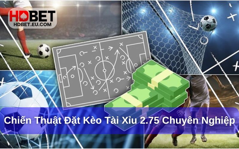 Tài Xỉu 2.75 - Hướng Dẫn Cược Chi Tiết Và Dễ Hiểu Nhất 3 Chiến thuật đặt kèo tài xỉu cho người mới