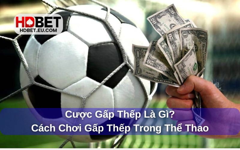 Cược Gấp Thếp Là Gì? Cách Chơi Gấp Thếp Trong Thể Thao 1 Giải đáp chi tiết về cược gấp thếp là gì