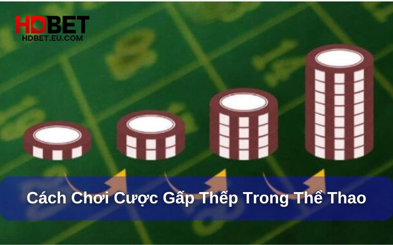 Cược Gấp Thếp Là Gì? Cách Chơi Gấp Thếp Trong Thể Thao 2 Cách cược gấp thếp trong thể thao