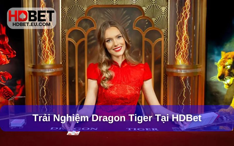 Dragon Tiger 2025 - Trò Chơi Bài Đỉnh Cao Tại HDBet 3 Trải nghiệm chơi Dragon Tiger hiện đại tại HDBet