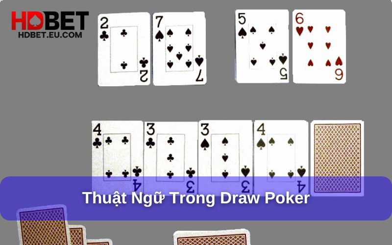 Draw Poker - Biến Thể Mới Độc Đáo Cho Tín Đồ Poker 3 Thuật ngữ cần biết trong bài Draw Poker