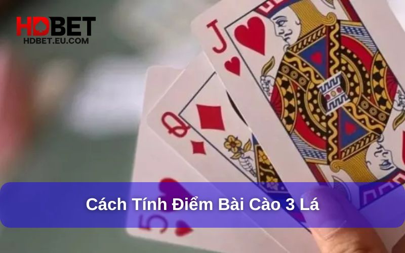 Cách Chơi Bài Cào 3 Lá - Hướng Dẫn Dễ Hiểu Cho Người Mới 3 Cách tính điểm khi chơi bài cào 3 lá