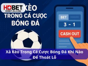 Xả Kèo Trong Cá Cược Bóng Đá Khi Nào Để Thoát Lỗ Hiệu Quả