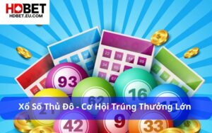 Xổ Số Thủ Đô - Cơ Hội Trúng Thưởng Lớn Với Chi Phí Thấp