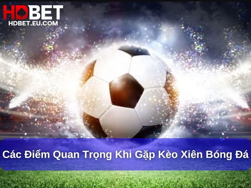 Hướng Dẫn Toàn Diện Kèo Xiên Bóng Đá Cho Người Mới 2 Các điểm quan trọng khi gặp kèo Xiên Bóng Đá