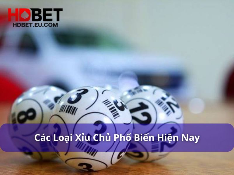 Xỉu Chủ Là Gì? Bí Kíp Chơi 1 Vốn 10 Lời Ai Cũng Hỏi 2 Các loại xỉu chủ được chơi phổ biến