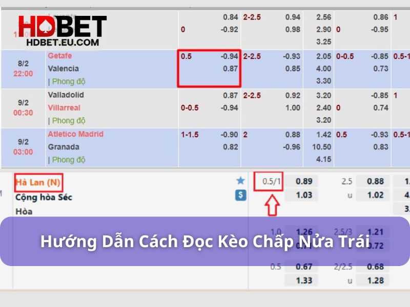 Kèo Chấp Nửa Trái Là Gì? Đọc Kèo Chấp 1/2 Dễ Dàng Tại HDBet 2 Cách đọc kèo chấp nửa trái hiệu quả