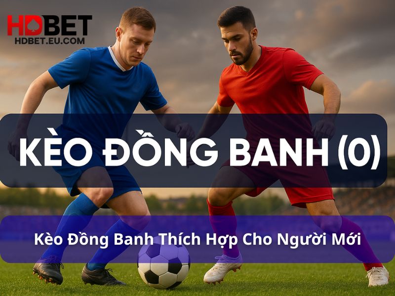 Kèo Ma Cao là gì? Hướng dẫn chi tiết & kinh nghiệm chơi 2 Kèo đồng banh thích hợp cho người mới làm quen