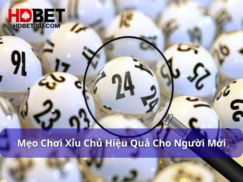 Xỉu Chủ Là Gì? Bí Kíp Chơi 1 Vốn 10 Lời Ai Cũng Hỏi 5 Mẹo chơi xỉu chủ dễ thắng lớn