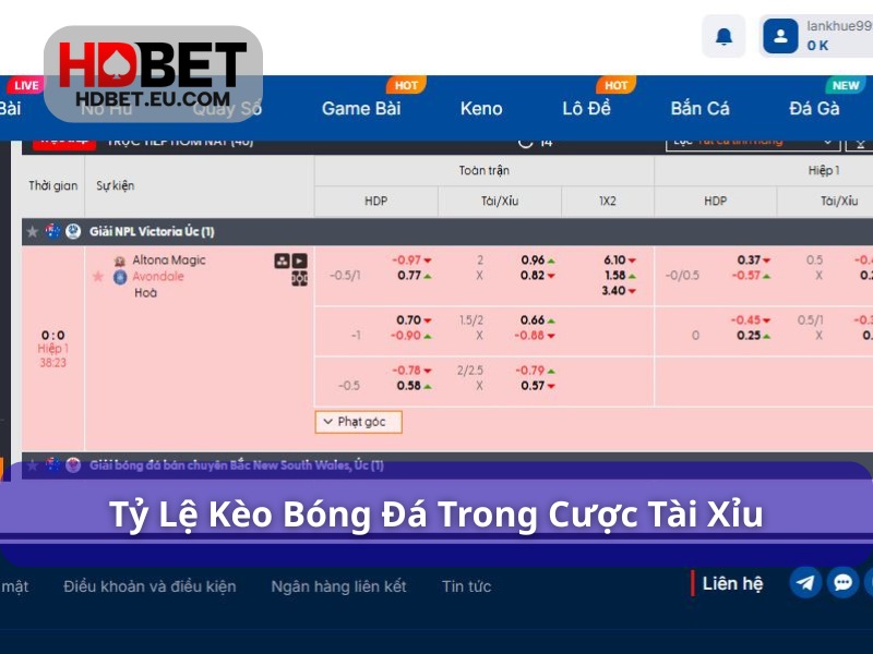 Tỷ Lệ Kèo Bóng Đá – Chìa Khoá Quyết Định Thắng Thua Trong Cá Cược 3 Tỷ lệ kèo bóng đá trong cá cược Tài/Xỉu