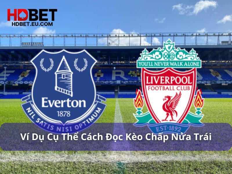 Kèo Chấp Nửa Trái Là Gì? Đọc Kèo Chấp 1/2 Dễ Dàng Tại HDBet 3 Ví dụ thực tế về kèo chấp nửa trái